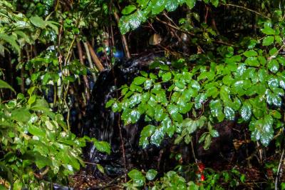 Oberstenfeld: Unfall auf ehemaliger Rennstrecke! PKW kracht in eine Waldboeschung